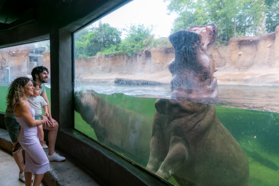 San Antonio Zoo
